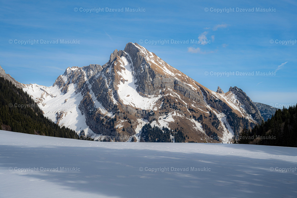 Gräppelensee | Ich fotografiere Landschaften, Produkte und erstelle für Sie Firmenportraits. Engagieren Sie mich für den nächsten Projekt. - Realisiert mit Pictrs.com