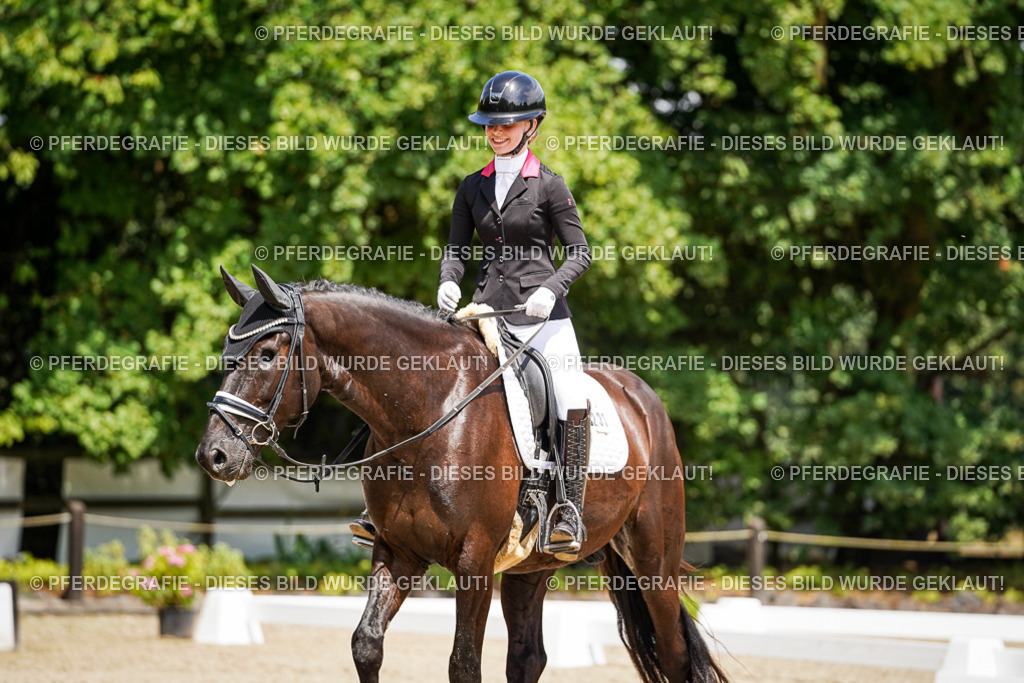 DSC01706 | Pferdegrafie