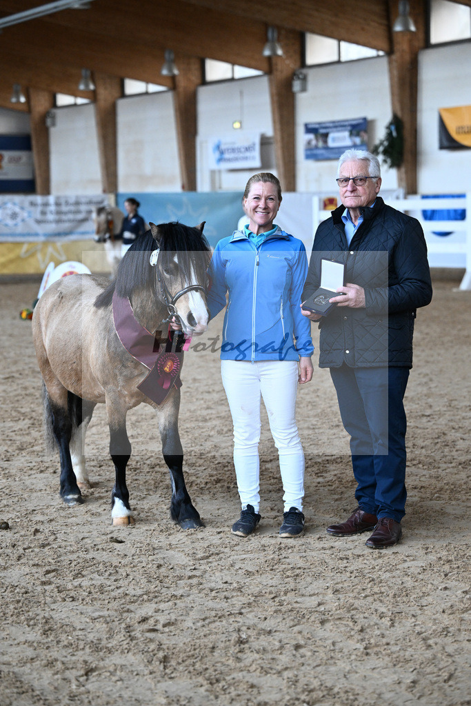 Kat-Nr. 15 Leybucht Bavarian Bailey v. Penymorfa Bailey_Nieberle_9260684 | hf-fotografie - Realisiert mit Pictrs.com