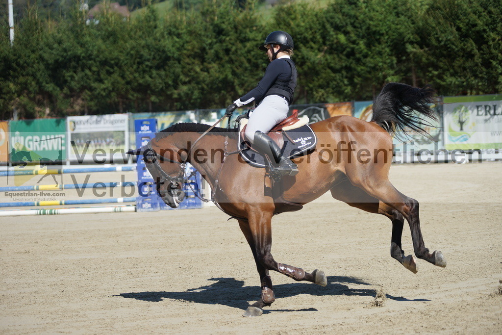 DSC00854 | equestrian-live-com