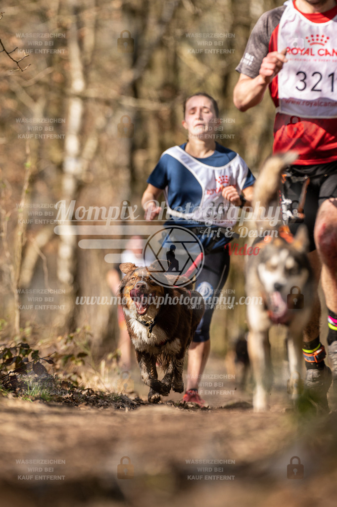 SPA_2023_SAM_CCK-137 | PayLife