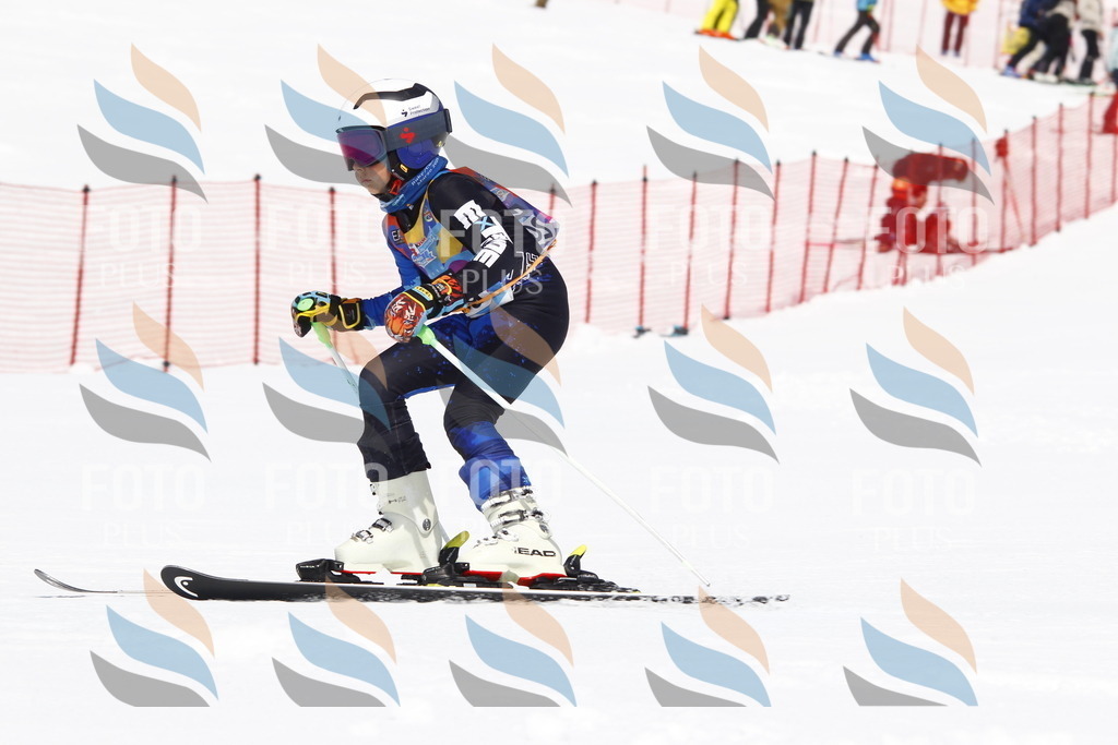 _U3G5403 | holidayphoto