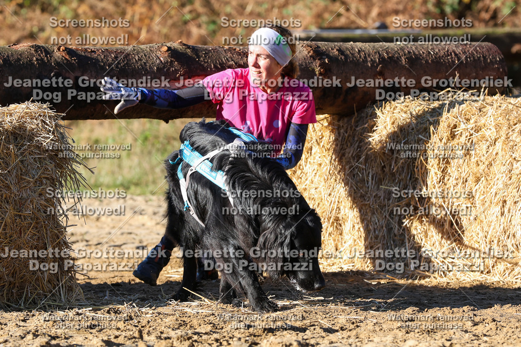 Dog Paparazzi - Strongdog 10-25-1646 | Dog Paparazzi Jeanette Grottendiek Fotografie & Videografie - Realisiert mit Pictrs.com