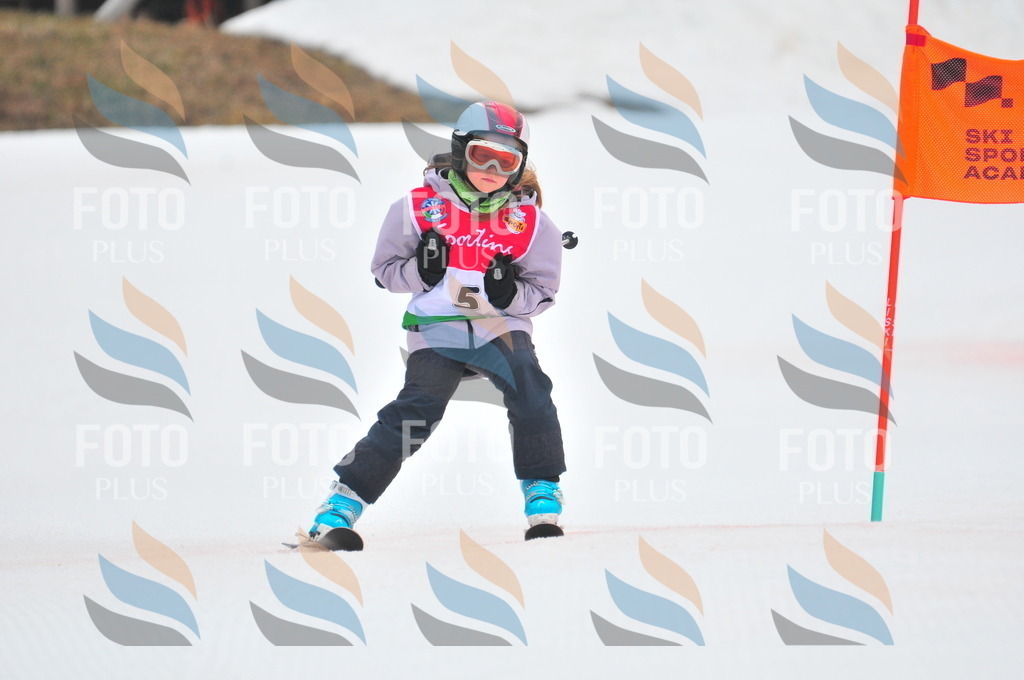 C0420 | holidayphoto