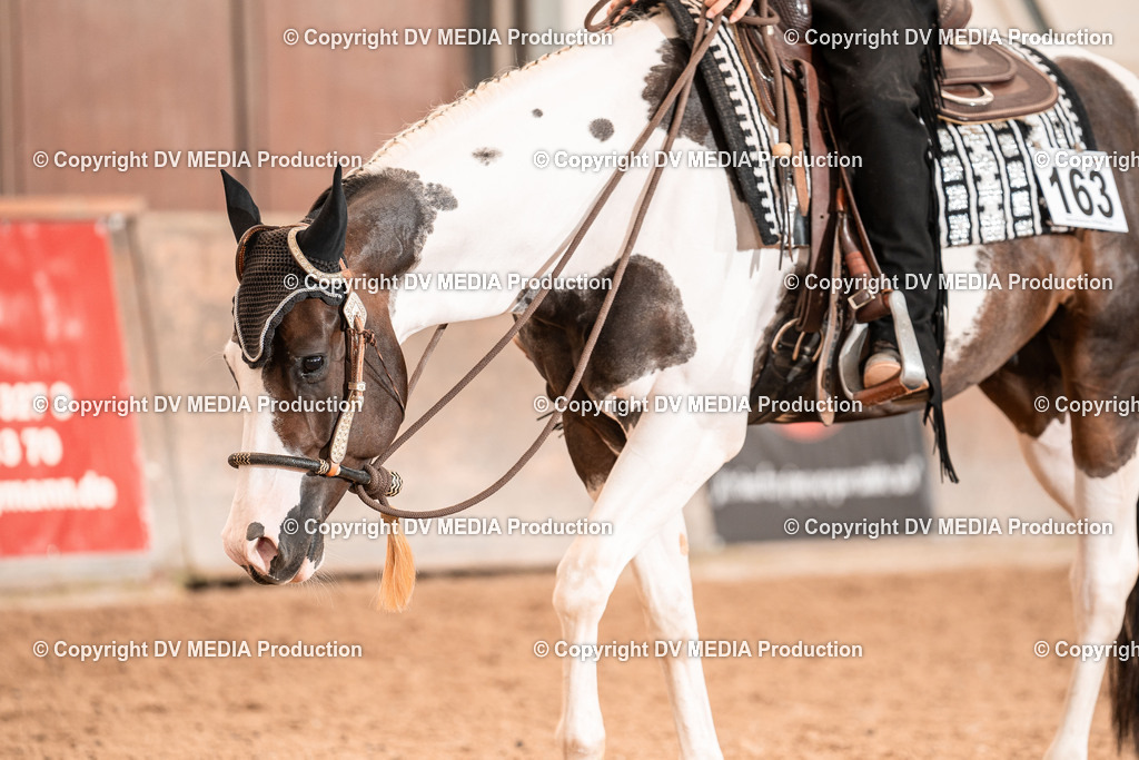 LM Heiligenwald Tag 2-1070 | dv-media-shop - Realisiert mit Pictrs.com