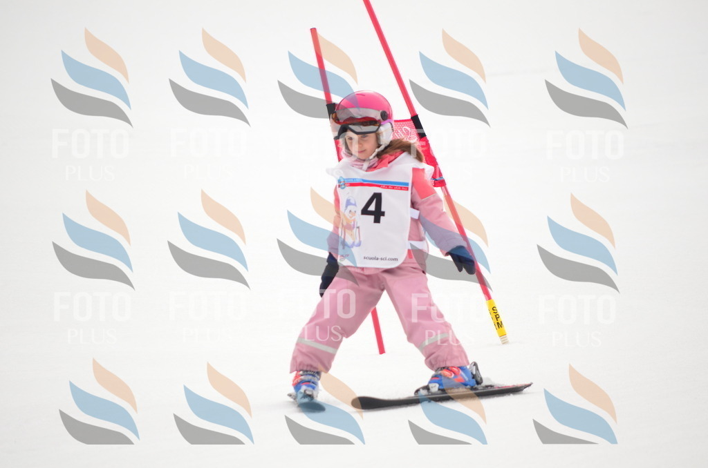 B9211 | holidayphoto