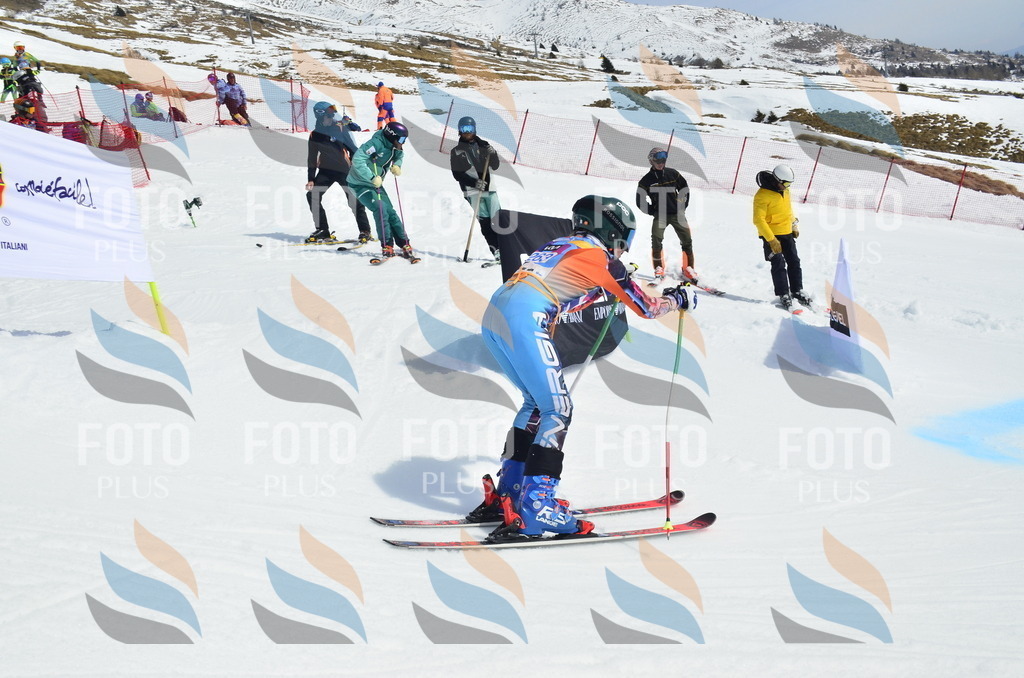 _ELE1963 | holidayphoto