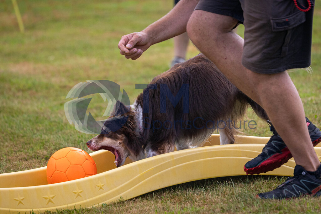 TP-20240815-0025 | Copyright: Trainproduction / Matthias Trinkl