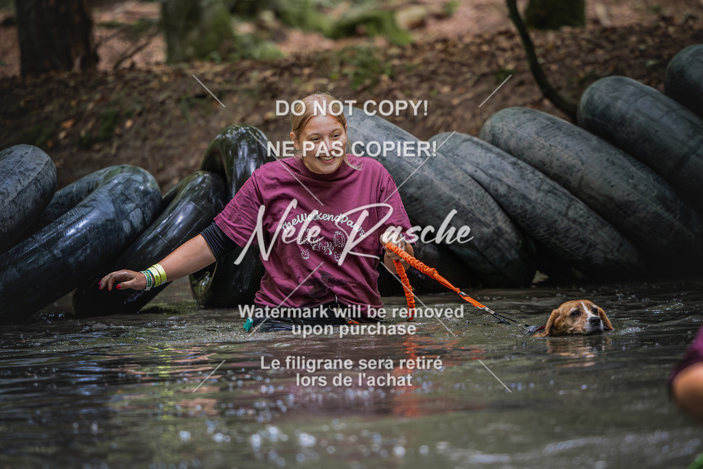 nelerasche_SaWingst1300-1400_188 | nelerasche