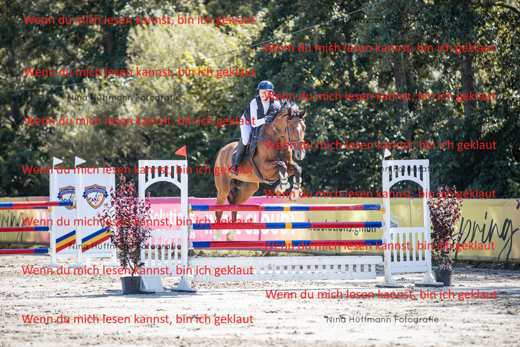 BK1A6907 | Turnierbilder Turnierfotos Nina Hüffmann Turnierfotografie Pferdefotografie Tierzeichnung Haustierzeichnung Pferdezeichnung Hundezeichnung Videograf  - Realisiert mit Pictrs.com