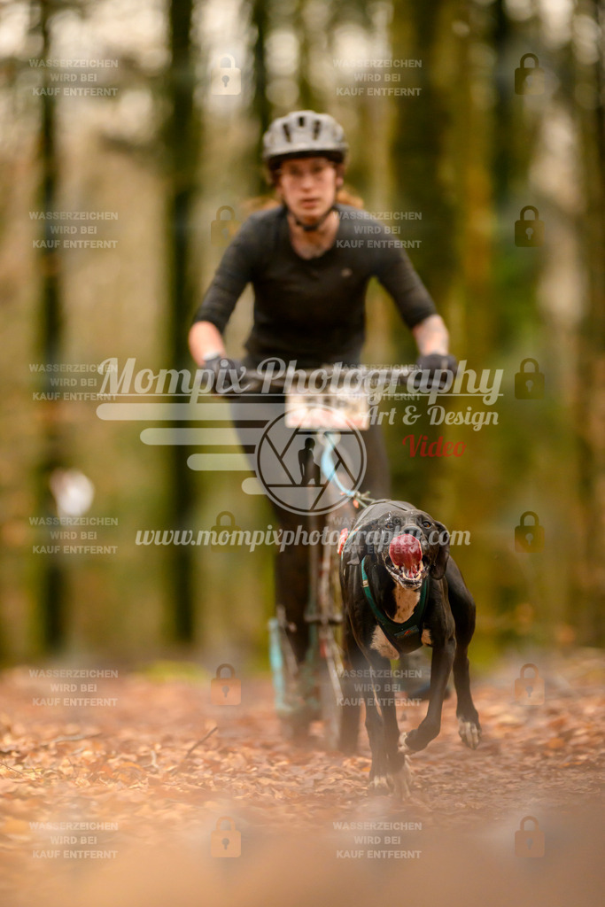 MompixPhotography_Habay2024_SA_Scooter-14 | PayLife