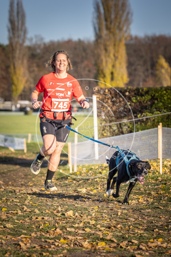 CaniXpix_DV3A2343 | Hundefotografie, Tierfotograf, Pfotenfotografie, Fotoshooting Hund, Hunde Portrait, Hundesport, Hundeportraits, Heideshooting, Hunde, Sportfotograf, Hundefotograf, Turnierhundsport, THS,  - Realisiert mit Pictrs.com