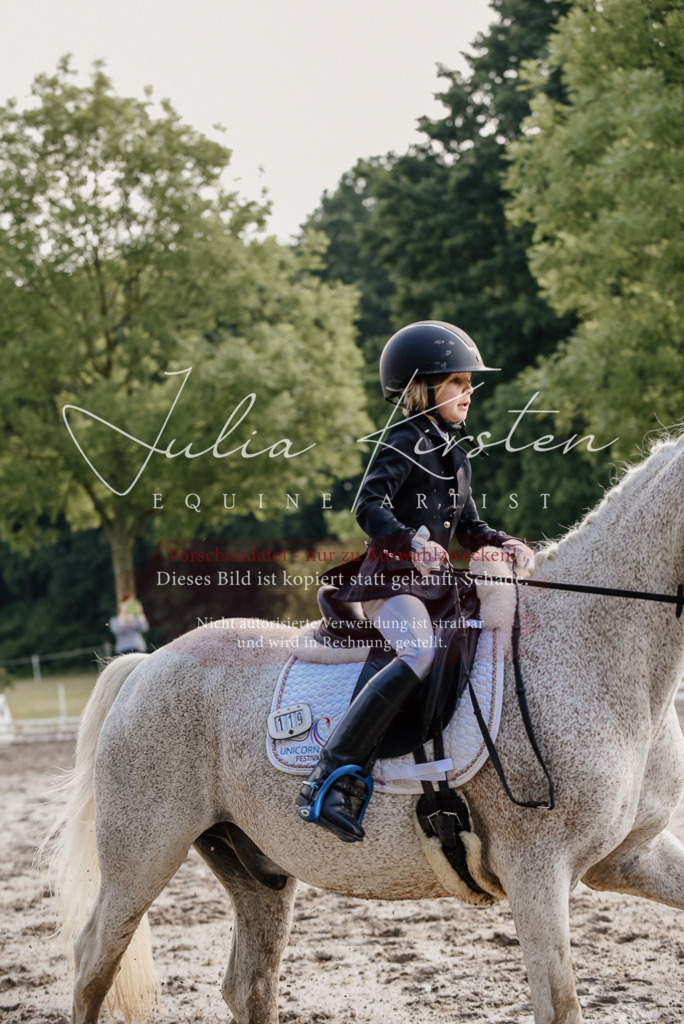 DSC_8395 | Pferde- und Turnierfotografie in Westsachsen. Pferdeportraits, Auftragszeichnungen und intuitive Kunst.