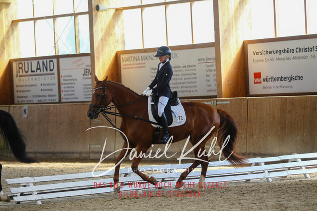 DKP45313 | Turniersportfotografie; Pferdefotografie; Dressurfotografie