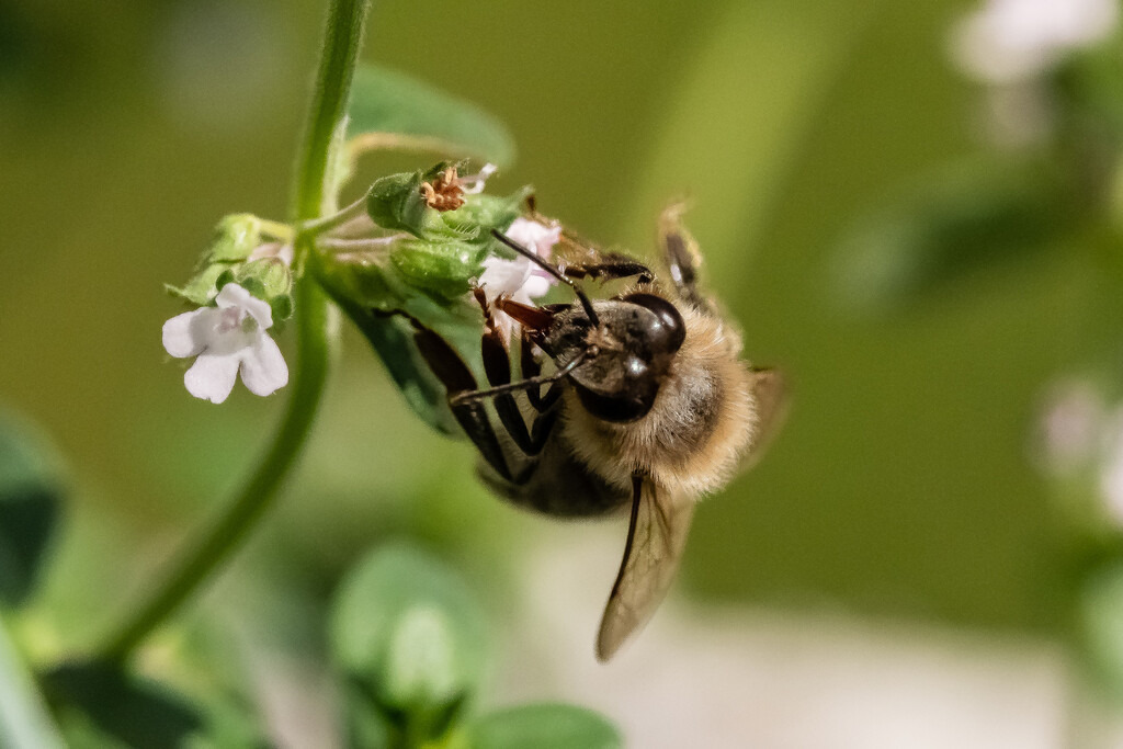 P7021897 | Carismarkus, Fotografie, Lost Places, Urbex, Stilvoll, Akt, Nude, Fine Arts, Adventure, Beauty in decay - Realisiert mit Pictrs.com