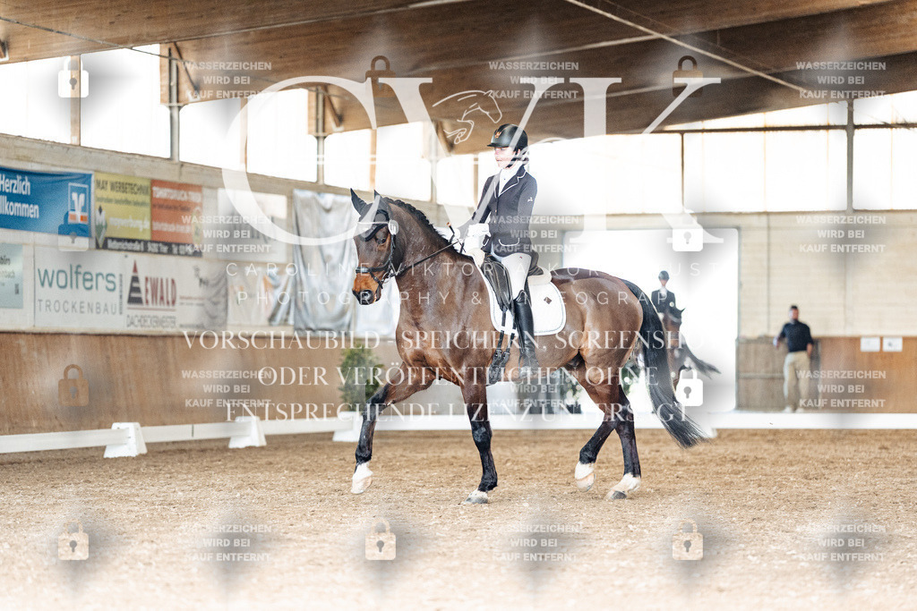 CK901922 | Turnierfotografie Pferdefotografie Trier Rheinland-Pfalz Pferdesport Reitsport Tierfotografie Sportfotografie Pferdevideo Pferdevideografie Equestrianvideography equestrianphotography  - Realisiert mit Pictrs.com