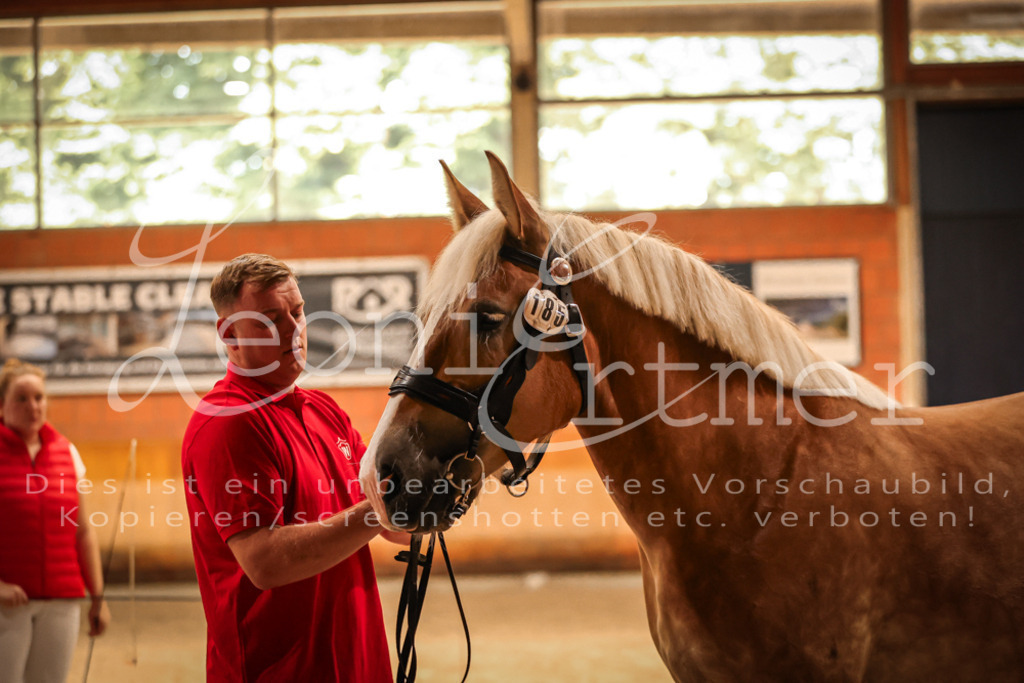 SaFL00124 | Leoni Ertmer Photography - Realisiert mit Pictrs.com