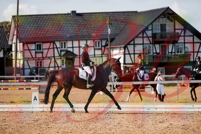 2026_10_03_Siefer-Hof_133612_Z63_96303851 | Professionelle Reitsport-, Turnier- und Eventfotografie von Robert Broda. Galerien mit ausgewählten und bearbeiteten Bildern direkt online ansehen und bestellen.