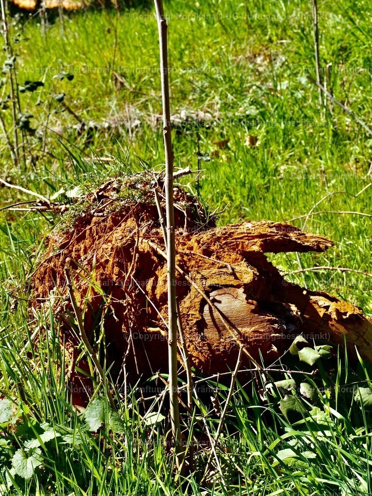 IMG_2959 | OLYMPUS DIGITAL CAMERA          - Realisiert mit Pictrs.com