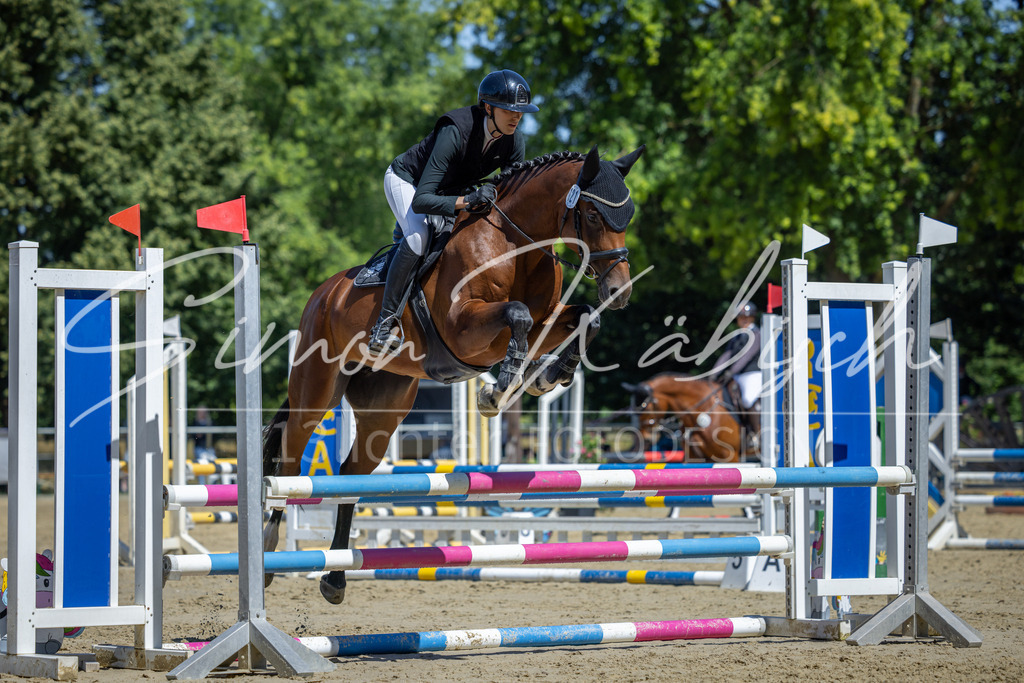 20260704-_3LI7837 | Tierfotografie Pferde, Hunde, Katzen, Haustiere.
Turnierfotografie Reitturniere, Reiten, Springreiten, Dressur in Hanau, dem Main-Kinzig-Kreis und dem Rhein-Main- Gebiet um Frankfurt