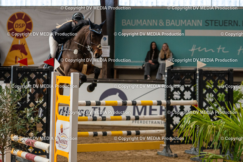 Kranichstein Tag 2-474 | dv-media-shop - Realisiert mit Pictrs.com