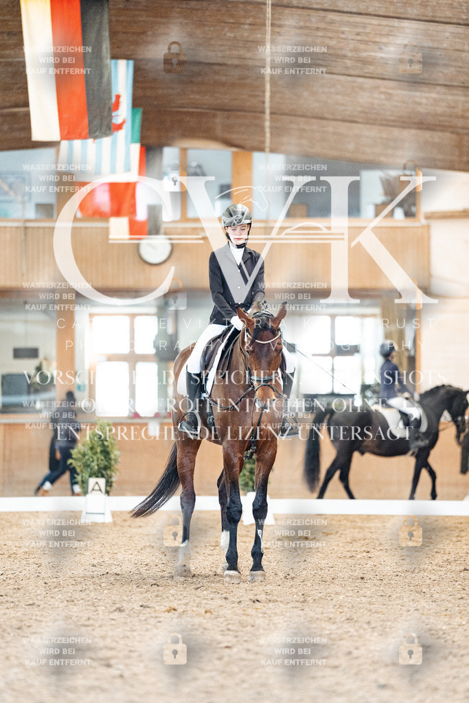 CK908128 | Turnierfotografie Pferdefotografie Trier Rheinland-Pfalz Pferdesport Reitsport Tierfotografie Sportfotografie Pferdevideo Pferdevideografie Equestrianvideography equestrianphotography  - Realisiert mit Pictrs.com