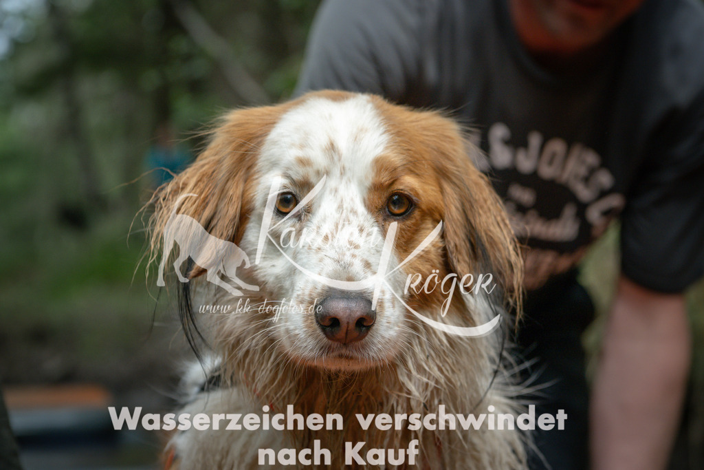 1238_ZZ90383 | kk-dogfotos