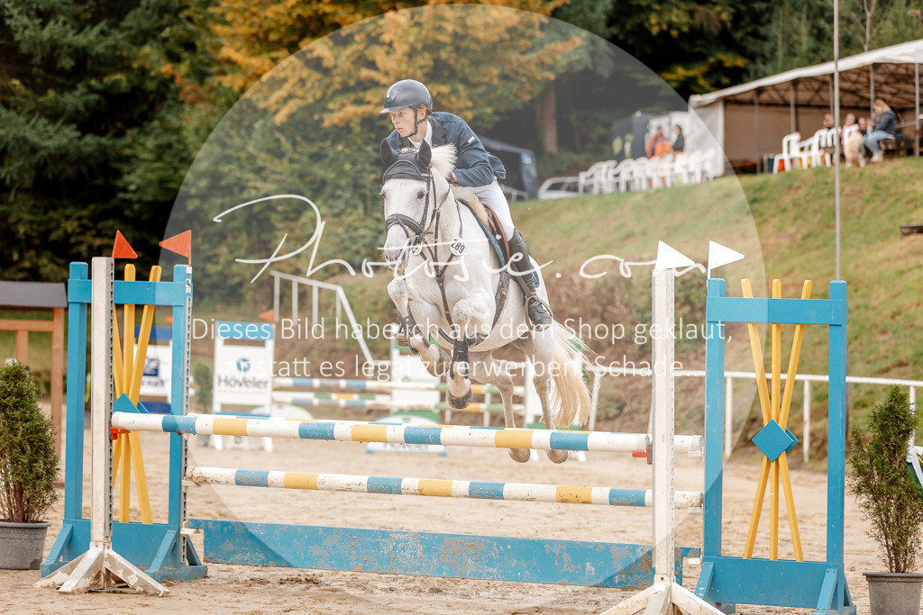 3I6A6712 | Stimmungsvolle Portraits und Reitsportfotografie im Ruhrgebiet und im Münsterland.

Pferdefotografie, Hundefotografie, Tierfotografie, Reportagen, Portraits von Tier und Mensch, Turnierfotografie in Bochum, Recklinghausen, Marl, Haltern am See, Dülmen.. - Realisiert mit Pictrs.com