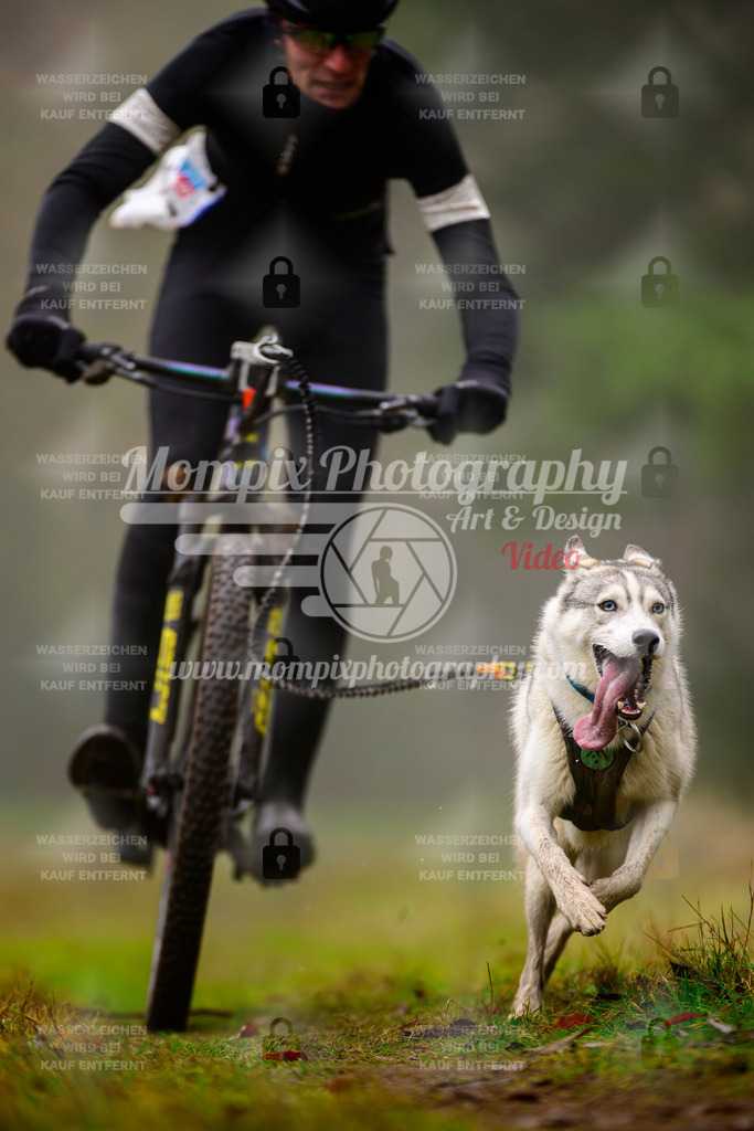 MompixPhotography_Bischwiller2025_Bike-12 | mompixphotography