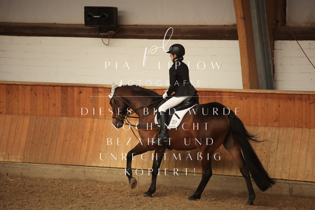 IMGT5653 | pl-fotografie