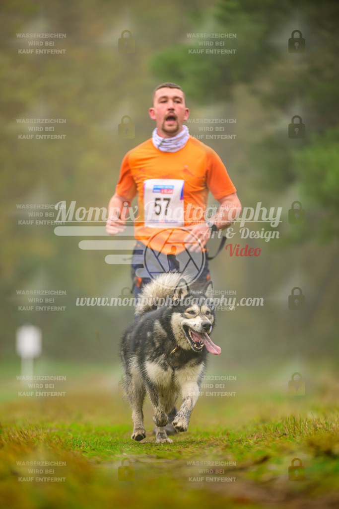 MompixPhotography_Bischwiller2025_Canicross-92 | mompixphotography