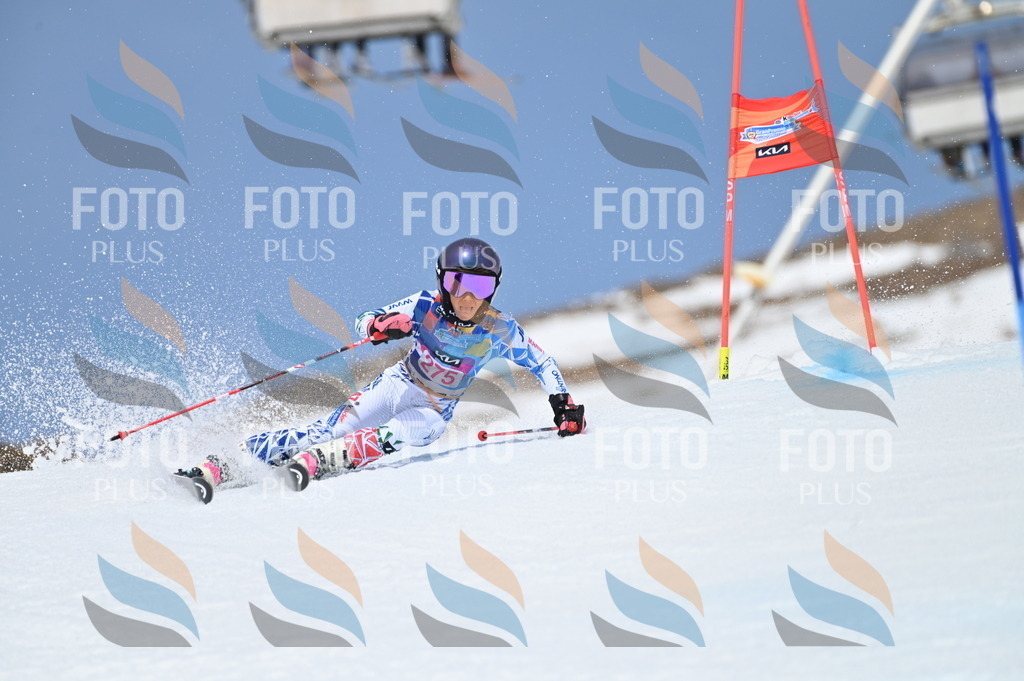 BGV_2325 | holidayphoto