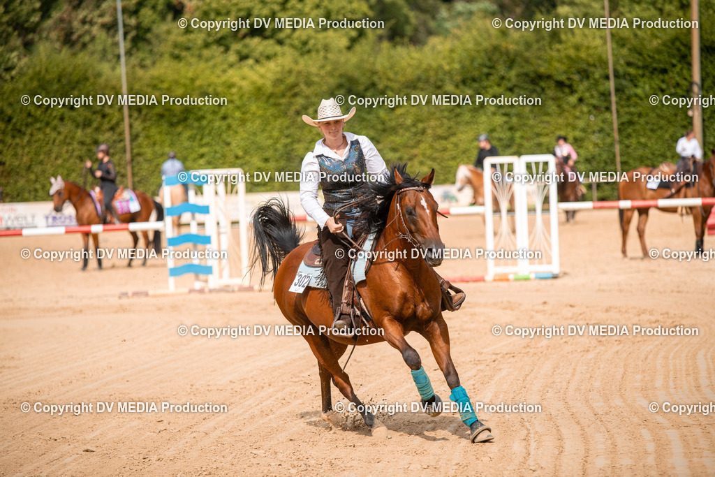 ZS2_8715 | dv-media-shop - Realisiert mit Pictrs.com