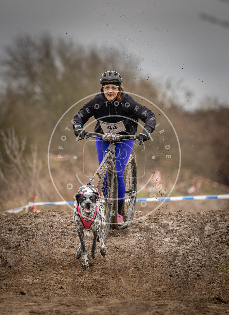 DV3A1268 | Hundefotografie, Tierfotograf, Pfotenfotografie, Fotoshooting Hund, Hunde Portrait, Hundesport, Hundeportraits, Heideshooting, Hunde, Sportfotograf, Hundefotograf, Turnierhundsport, THS,  - Realisiert mit Pictrs.com