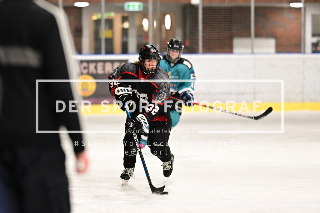 Eishockey I Frauen I Saison 2023-2024 I Testspiel I TuS Harsefeld Tigers - Crocodiles Hamburg I 05112 | Der Sportfotograf. - Realized with Pictrs.com