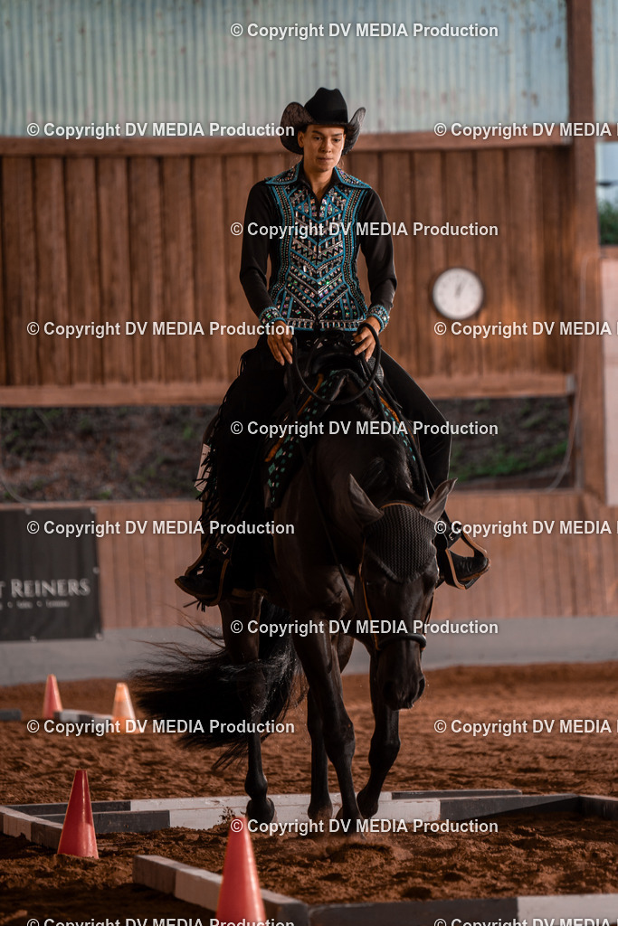 NE300031 | dv-media-shop - Realisiert mit Pictrs.com