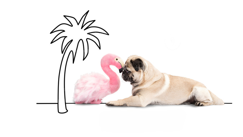 Flamingo Mops neu D | Beispiel für Diversität. Mops Hund und Flamingo Plüschtier schmusen. Gezeichnete Palme als Symbol für gemeinsame Reise.