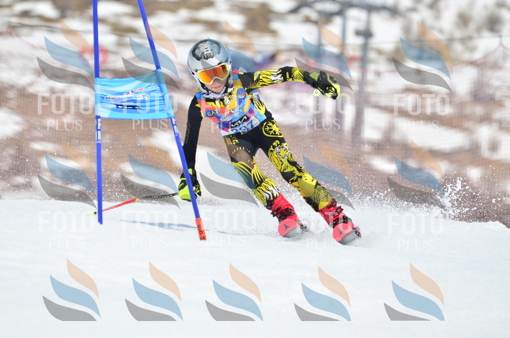 _ELE2491 | holidayphoto