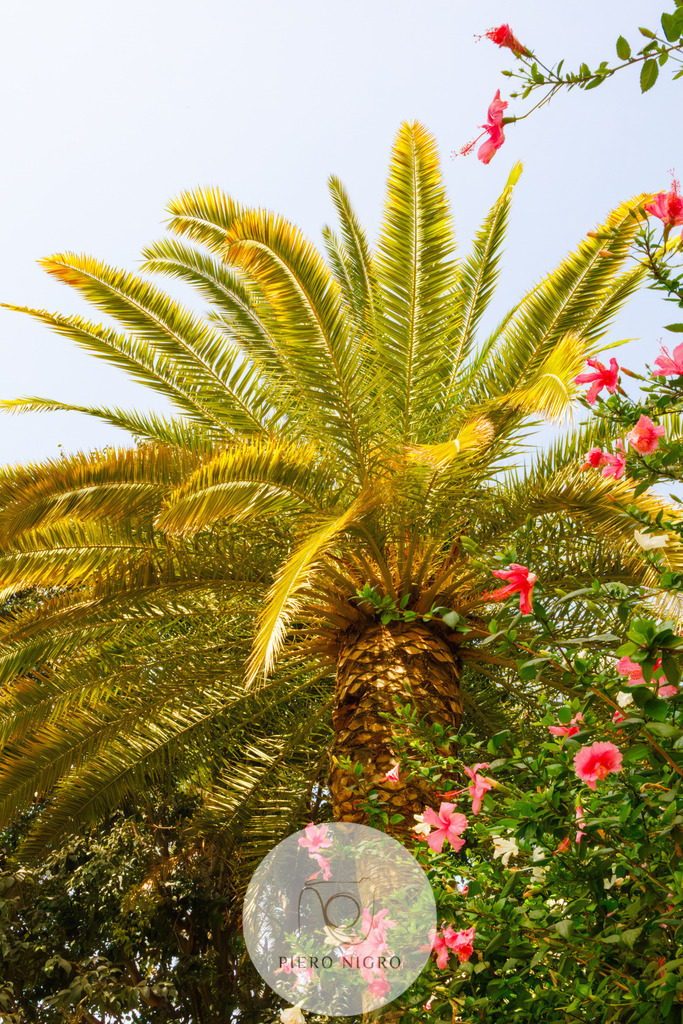 20240831-12-15-55-IMG_0840 | Galleria Dei Moment - Fotografie D' Arte | Wallart | Fotokunst - Realisiert mit Pictrs.com