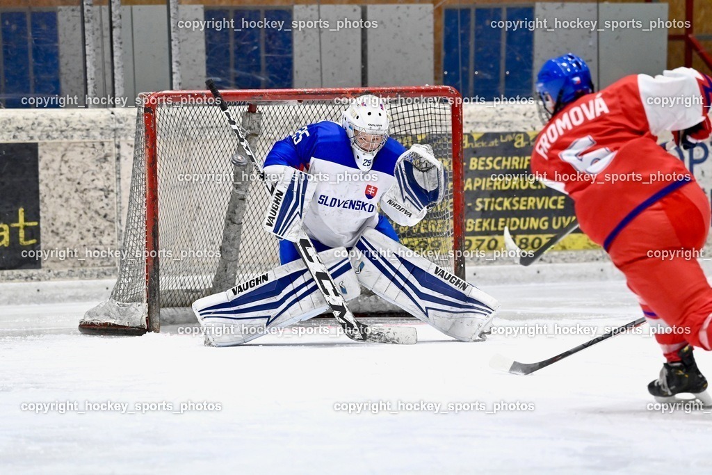 BST_6020 | hockey sports photos, Pressefotos, Sportfotos, hockey247, win 2day icehockeyleague, Handball Austria, Floorball Austria, ÖVV, Kärntner Eishockeyverband, KEHV, KFV, Kärntner Fussballverband, Österreichischer Volleyballverband, Alps Hockey League, ÖFB, 