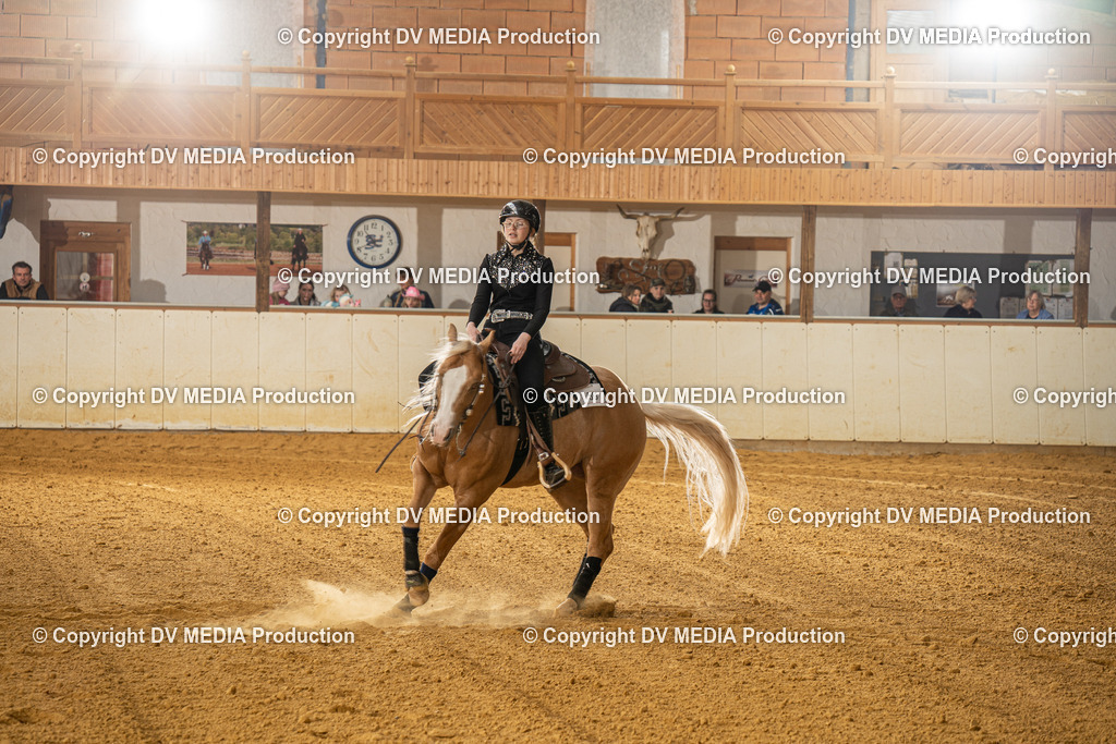 MIT00995 | dv-media-shop - Realisiert mit Pictrs.com