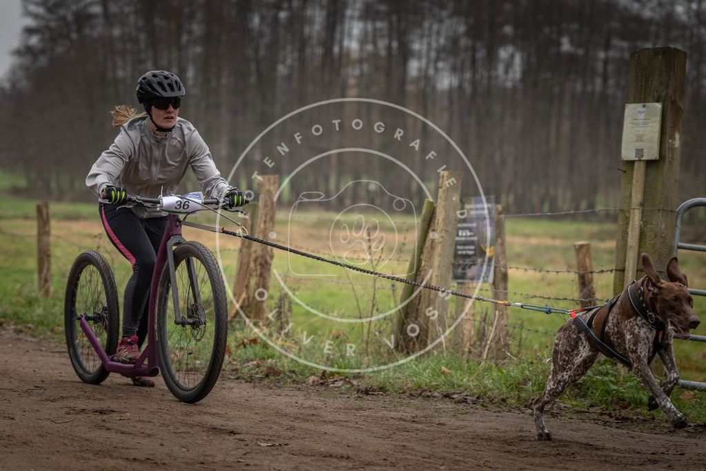 Pfotenfotografie_DV3A2438 | Hundefotografie, Tierfotograf, Pfotenfotografie, Fotoshooting Hund, Hunde Portrait, Hundesport, Hundeportraits, Heideshooting, Hunde, Sportfotograf, Hundefotograf, Turnierhundsport, THS,  - Realisiert mit Pictrs.com