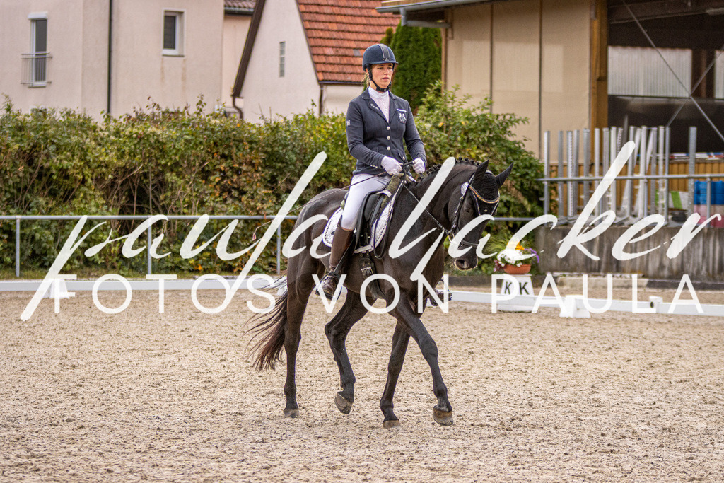 IMG_3008 | Erleben Sie dynamische Sport- und emotionale Tierfotografie in Süddeutschland mit Fotos von Paula. Spezialisiert auf Pferde- und Hundefotografie sowie Sportevents. Kontaktieren Sie mich für einzigartige und ausdrucksstarke Bilder Ihrer besonderen Momente. - Realisiert mit Pictrs.com