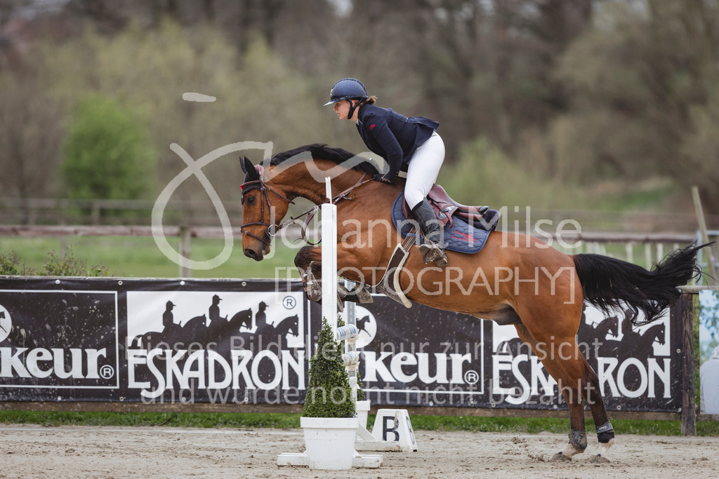 240330_Fruehlingsfest_Stil-A2-2-727 | Deine schönsten Turniermomente als professionelle Fotos! Entdecke hochwertige Pferdesport-Fotografie im Online-Shop. Jetzt Fotos finden & bestellen!