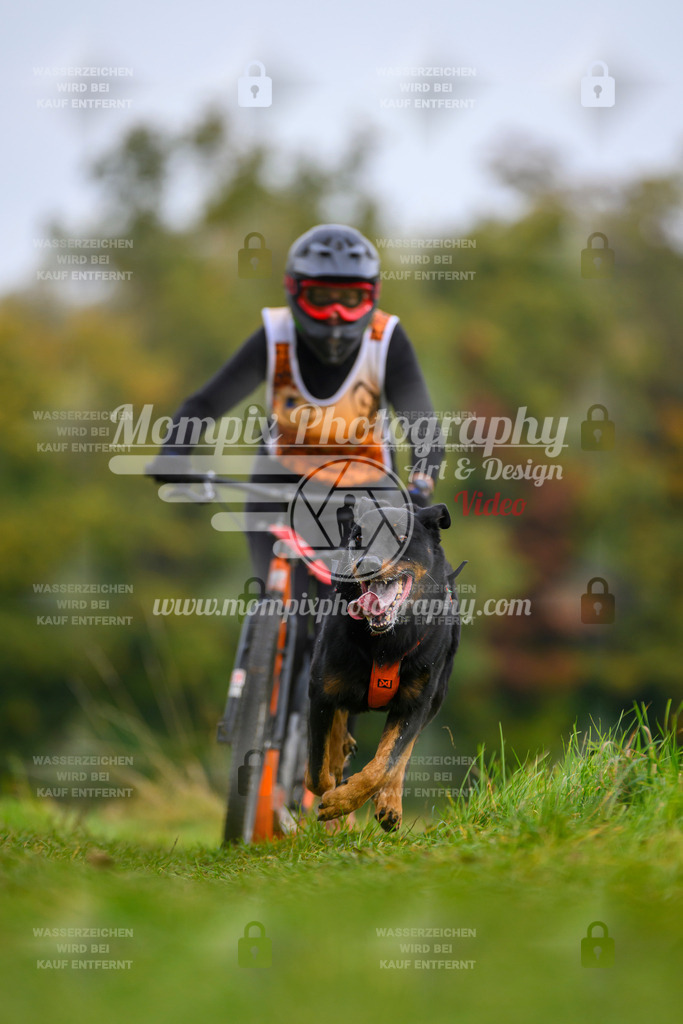 MompixPhotography_CDLBDB2025_DI_DS-88 | PayLife