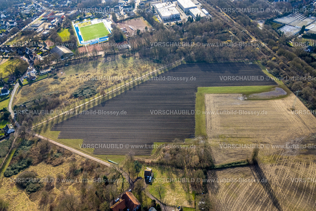 Bottrop250202337Mitte | Luftbild, Wiesenfläche und Baumallee an der Tourcoingstraße, Eigen, Bottrop, Ruhrgebiet, Nordrhein-Westfalen, Deutschland