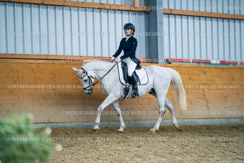 DSC05532 | Pferdegrafie