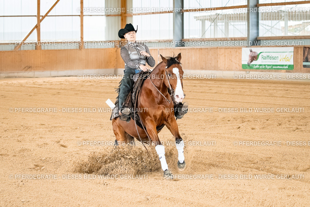 DSC02843 | Pferdegrafie