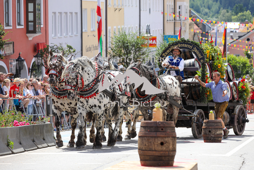 OE7A2294 | Brauereiwagen-Geschicklichkeitsfahren,wird seit 1988 in Zwiesel ausgetragen. im 2-Jahres-Rhythmus während des Grenzlandfest.