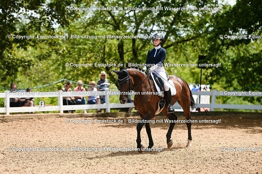20230716_03_Dressurprfg. Kl.L - Tr._0288 | equistock